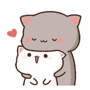 her the black  cat  me the white