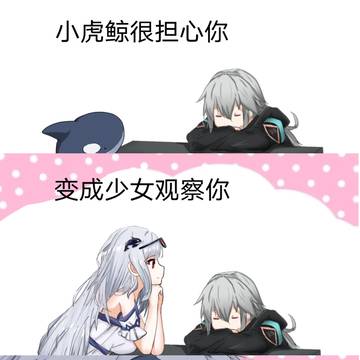 小虎鲸很担心你