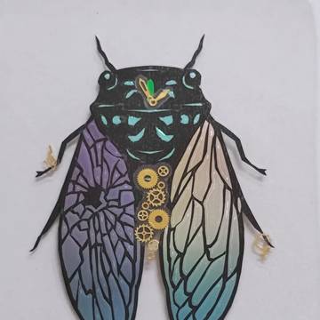 cicada