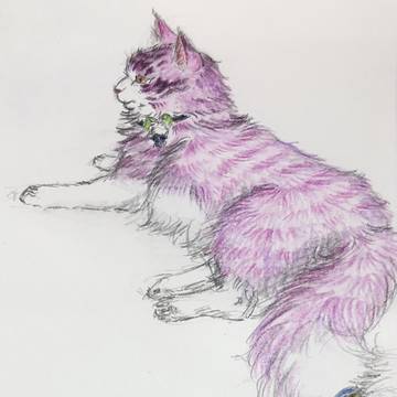 【猫化】ムラマサイベリアン