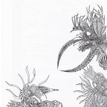 bugs