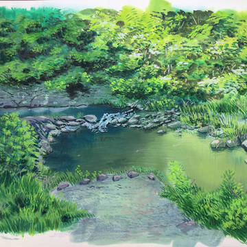 写真模写
