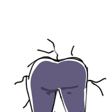 ふとったなおはま