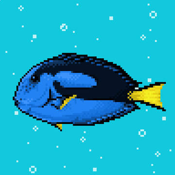 ナンヨウハギ