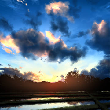 夕暮れ田んぼ