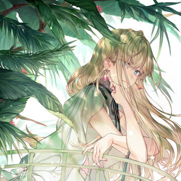 🌺
