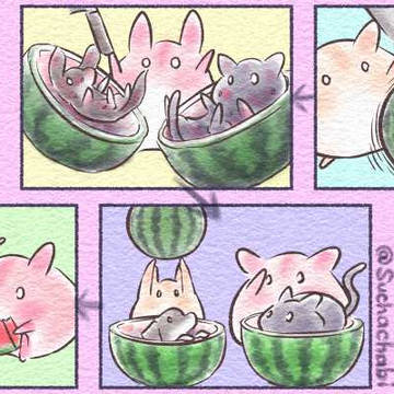 すいか