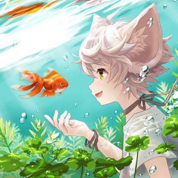 金魚さんこんにちは