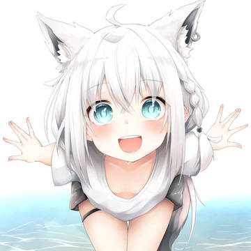 こんこーん！白上だﾖｩ!