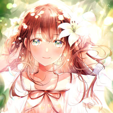 LILY