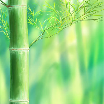 竹