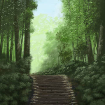 茂み
