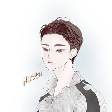 HOSHI SEVENTEEN FANART
