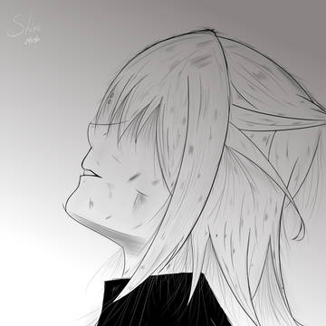 Life is not Kira Kira Doki Doki