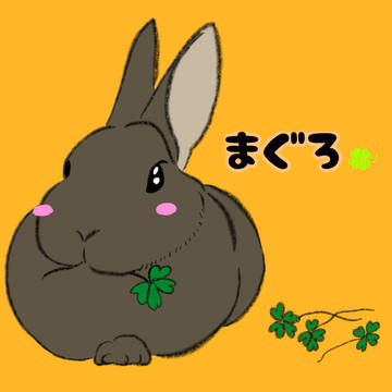 うさぎ