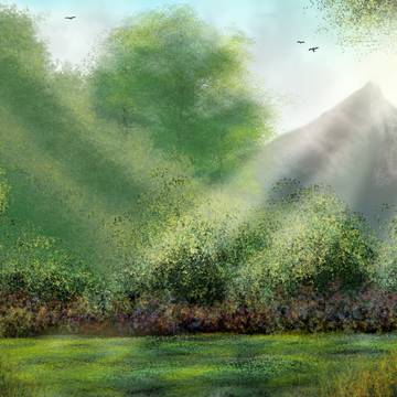 Mountain field