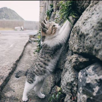 무제
