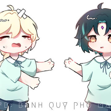 Xiao and aether