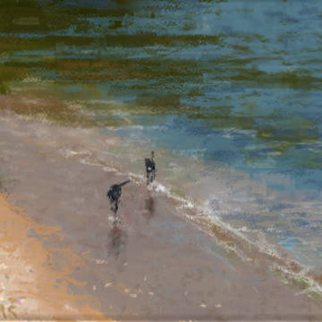 Walking by the sea
