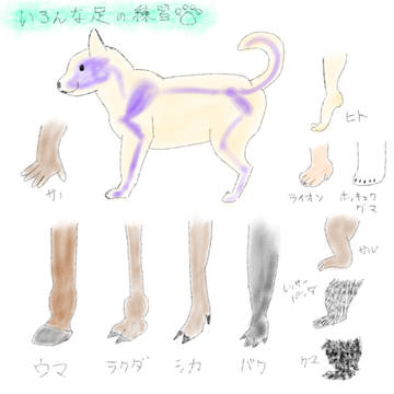 模写練習　動物の足