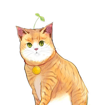 大橘猫
