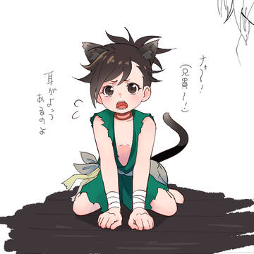 どろさん