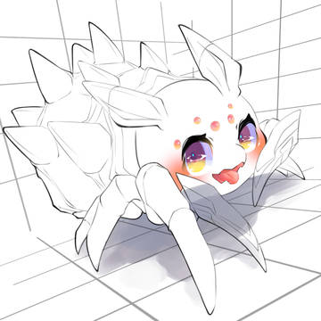 いろんなもこもこクモコ