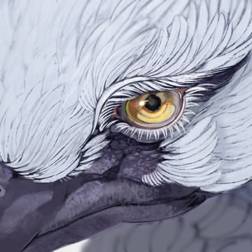 獣