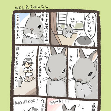 【実録】頷きrabbit…他