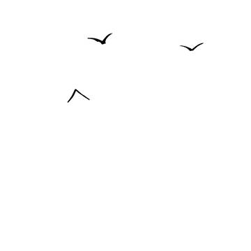 MSペイント②