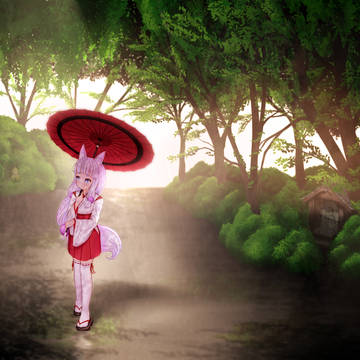 Noja fox out on a stroll