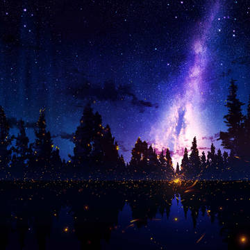 所念皆星河。