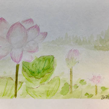 落描き