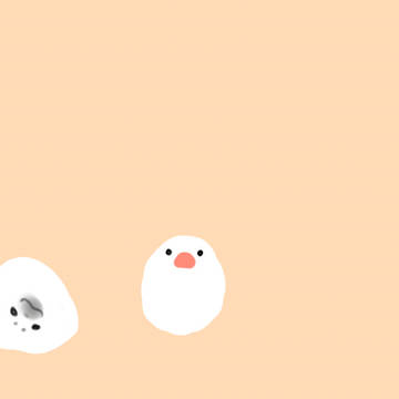 もちもちおもち