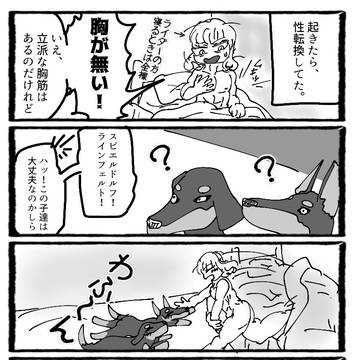 TS聖杯面子