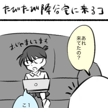 降コ(新一バレ済)