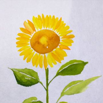 ひまわり 野ぶどう 菜の花