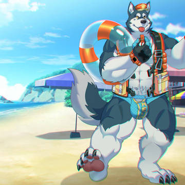 Lifeguard dog