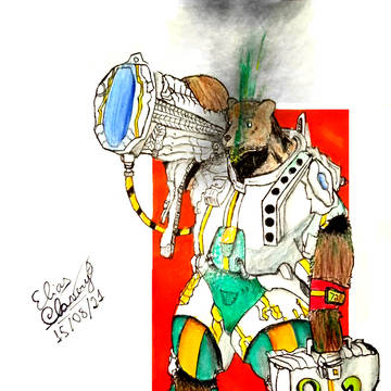 Bear Soldier