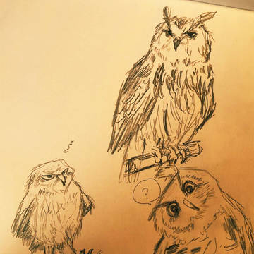 Owls