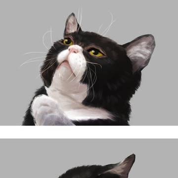 もんた