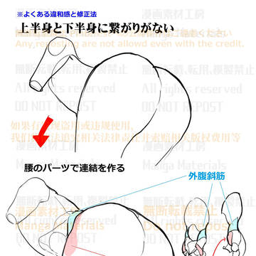 個人メモ:尻と胴体を繋ぐ腰