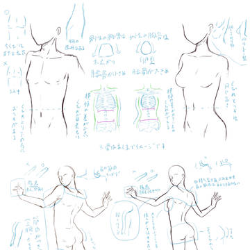 男女の描き分け