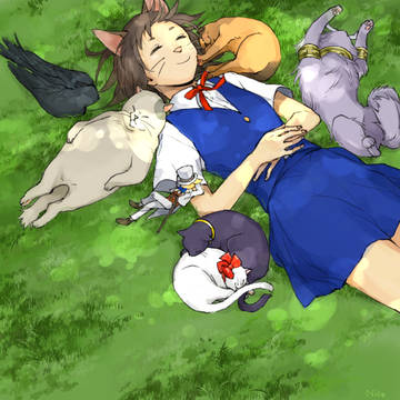 猫に―――なります――――