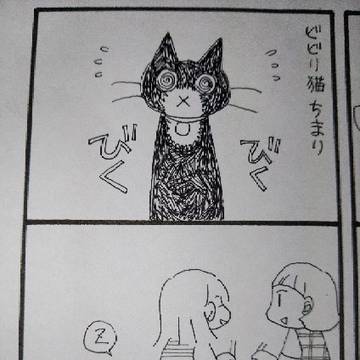 ねこ16
