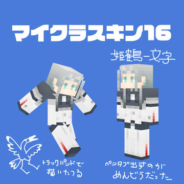 マイクラスキン16