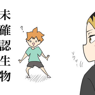 学名：ヒナタ・ショーヨー