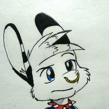 Shota Jerry