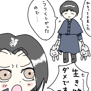初めて美しいと思った