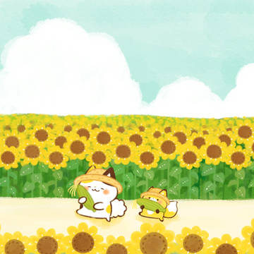 大事なとうもろこし